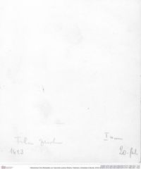 Historisches Foto (Rückseite) von Vasconilia xystosa (Robins, Feldmann, Schweitzer & Bonde, 2016) (NHMW-AFW-GEO-BACHMAYER-FOTO-1990-0041-1423)